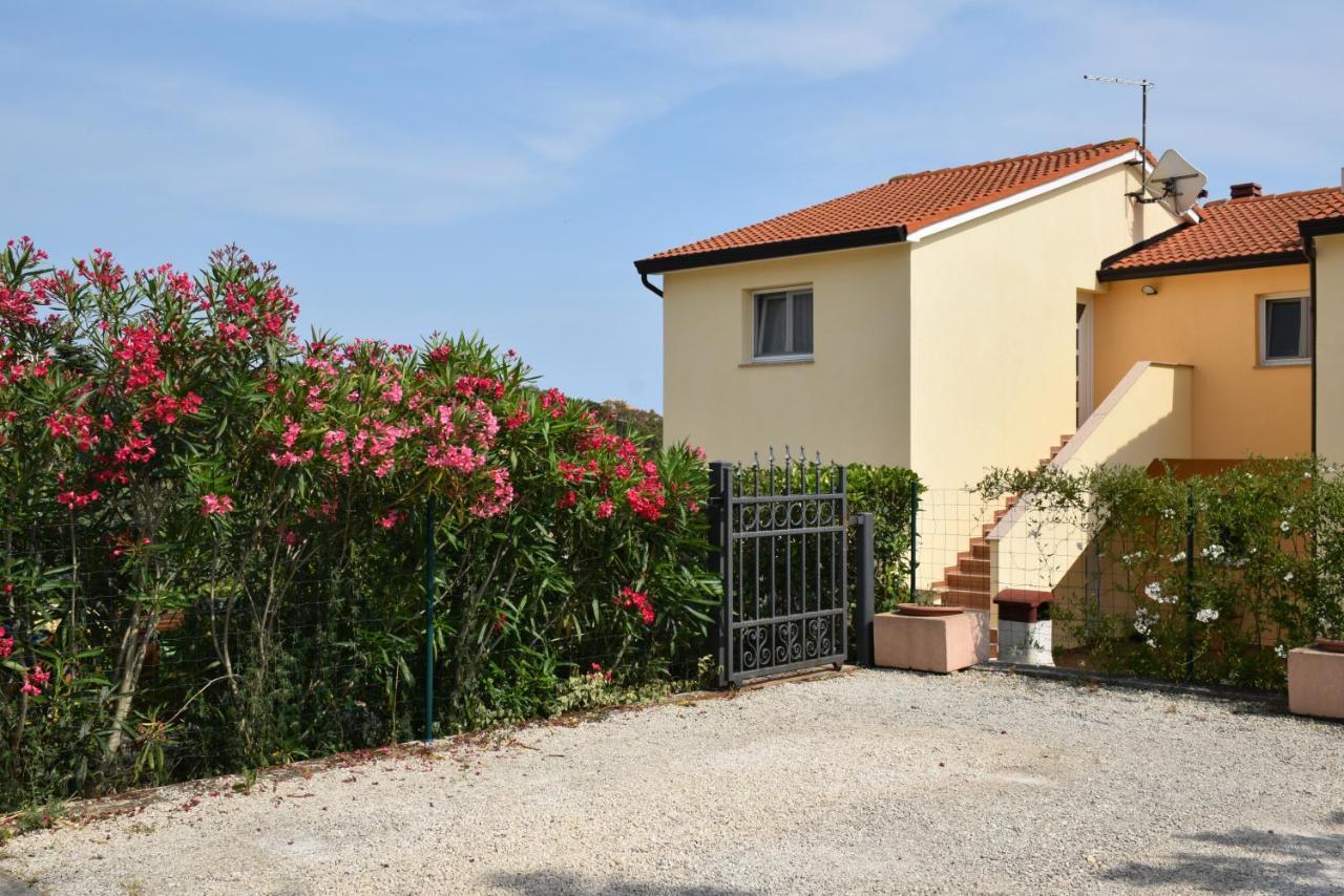 Villa Vinki Vinkuran Εξωτερικό φωτογραφία
