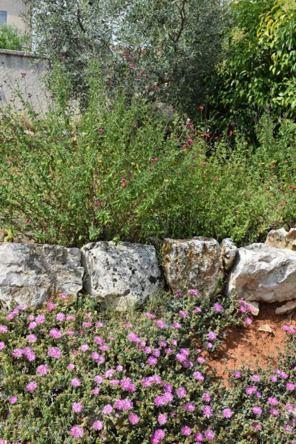 Villa Vinki Vinkuran Εξωτερικό φωτογραφία