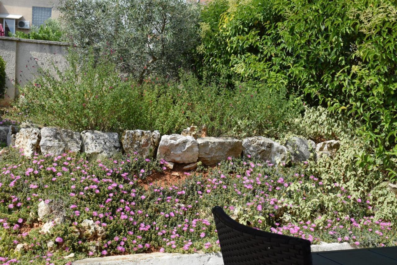 Villa Vinki Vinkuran Εξωτερικό φωτογραφία